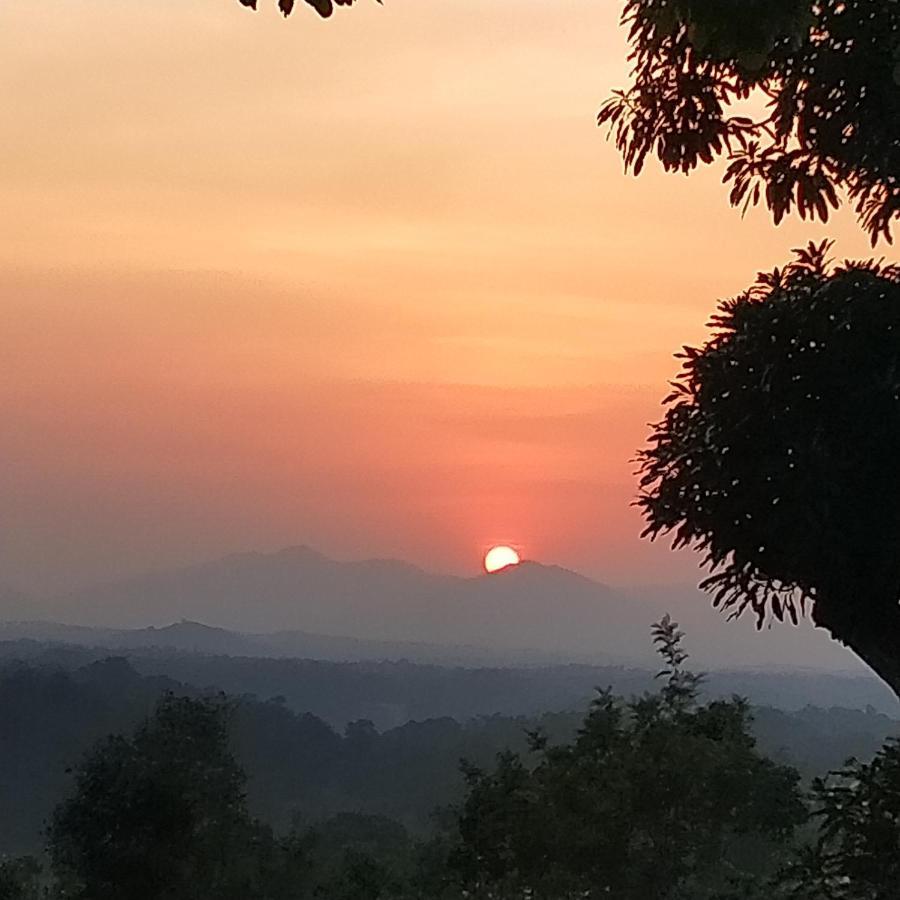 דירות ויראג'פט Forestdale Coorg מראה חיצוני תמונה